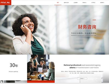 岱岳金融财务